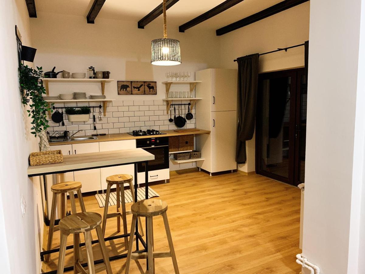 Nordic Chalet Sinaia Extérieur photo